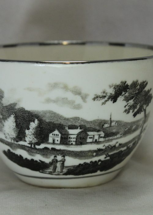 Bat printed porcelain cup c1810 Bat printed porcelain cup c1810