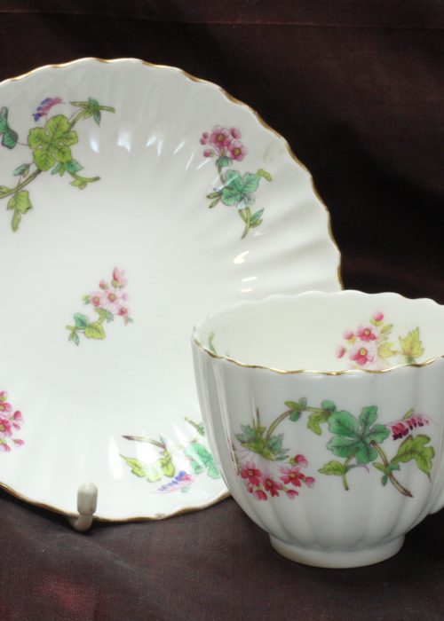 Coalport hand coloured cup and saucer Coalport hand coloured cup and saucer