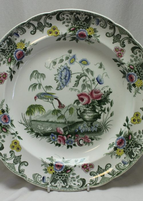 Spode printed plate Macaw pattern Spode printed plate Macaw pattern