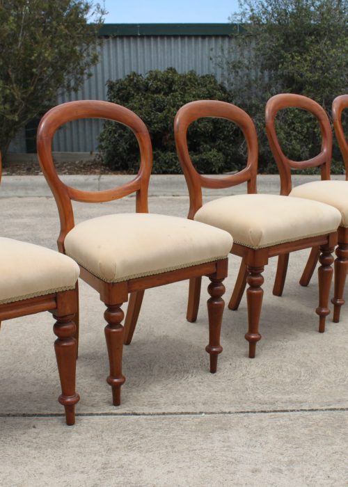 Set of 6 cedar balloon back dining chairs
