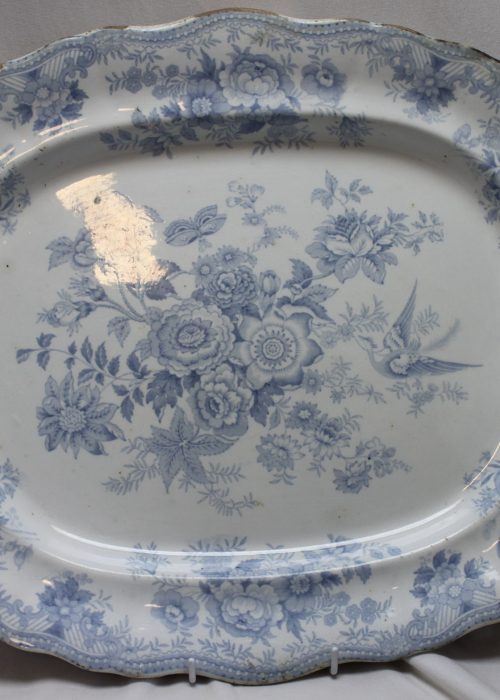 Wileman Asiatic Pheasant platter