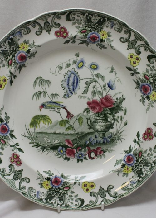 Spode printed plate Macaw pattern