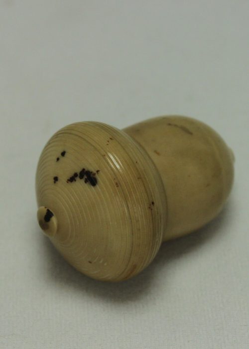 Vegetable ivory thimble holder in the shape of an acorn